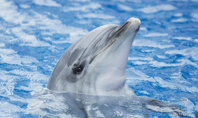 水族館のバイトが人気の理由イメージ1