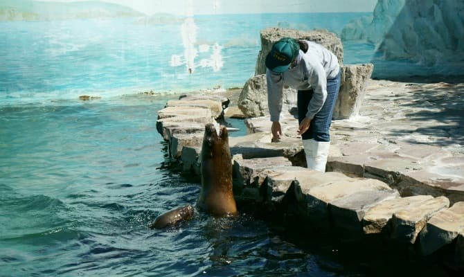 水族館のバイトが人気の理由イメージ2