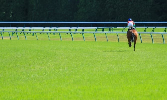 競馬場のバイトが人気の理由イメージ1